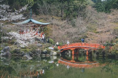 10 Nisan 2012 Daigo ji tapınağında güzel bir Japon bahçesi.
