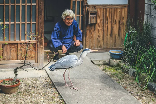 10 Nisan 2012 Akbalıkçıl evi terk etti, Japonya