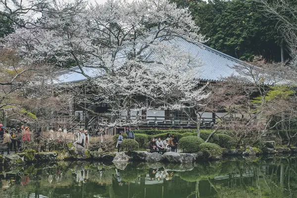 stock image 10 April 2012 Daigo ji ,Sampo in Temple Garden, Kyoto Japan