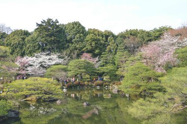 10 Nisan 2012 Japonya, Kyoto, Heian Tapınağı, Japonya