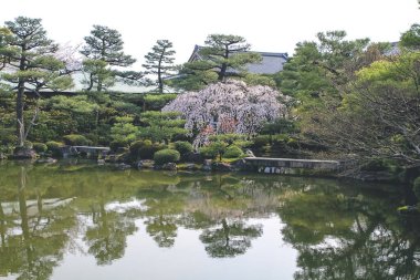 10 Nisan 2012 Japonya, Kyoto, Heian Tapınağı, Japonya