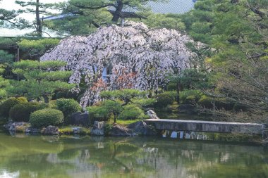 10 Nisan 2012 Japonya, Kyoto, Heian Tapınağı, Japonya