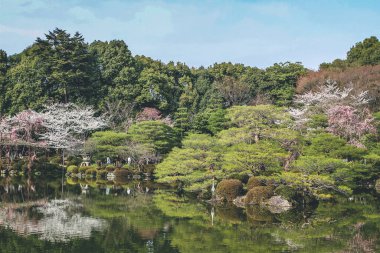 10 Nisan 2012 Kyoto, Japonya Baharı Heian Shrines gölet bahçesinde.