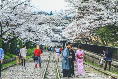 Geleneksel Kimono, Keage Incline 'de kiraz çiçekleri. 10 Nisan 2012