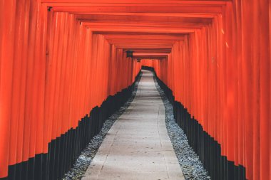 Japonya, Kyoto 'daki Fushimi Inari türbesindeki kırmızı Torii kapıları 10 Nisan 2012