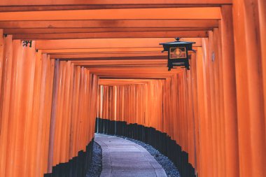Fushimi Inari Taisha tapınağı. Fushimi ku, Kyoto, Japonya. 10 Nisan 2012