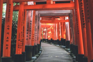 Torii kapıları Fushimi Inari Tapınağı, Kyoto, Japonya 10 Nisan 2012