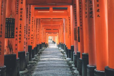 Torii kapıları Fushimi Inari Tapınağı, Kyoto, Japonya 10 Nisan 2012