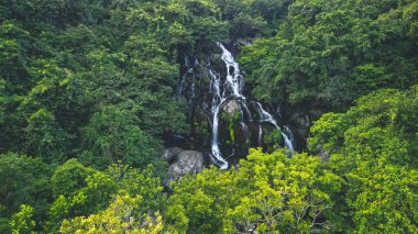 Biraz Hawaii Şelalesi, T.K. O Hong Kong