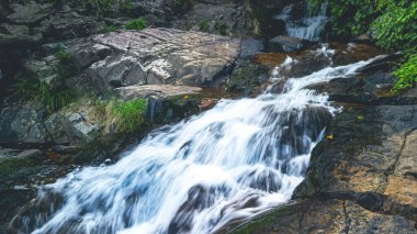 Biraz Hawaii Şelalesi, T.K. O Hong Kong