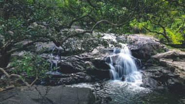 Biraz Hawaii Şelalesi, T.K. O Hong Kong