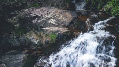 Biraz Hawaii Şelalesi, T.K. O Hong Kong