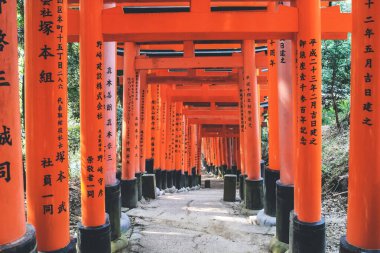 Torii Gatein Fushimi Inari Taisha Tapınağı, 10 Nisan 2012