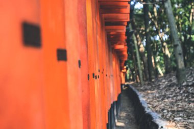 Fushimi inari taisha türbesi Kyoto, Japonya 10 Nisan 2012