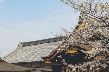 Japonya, Kyoto 'daki Fushimi Inari Taisha. 10 Nisan 2012