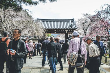10 Nisan 2012 Sakura ağaçlı turistler Daigo ji bahçesinde