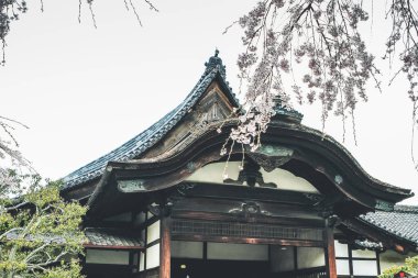 Kyoto 'daki Daigo ji Tapınağı' nın bahar manzarası, 10 Nisan 2012