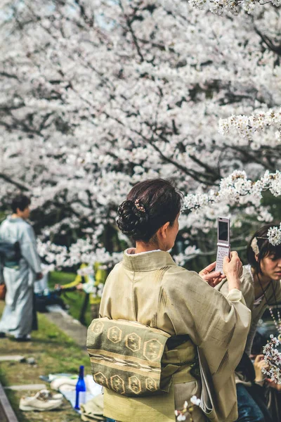 stock image traditional Kimono, the cherry blossoms at Keage Incline. 10 April 2012