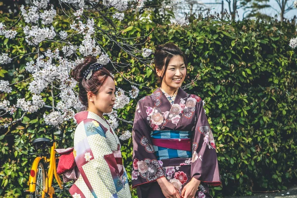April 2012 Asiatin Trägt Kimono Mit Kirschblüte — Stockfoto
