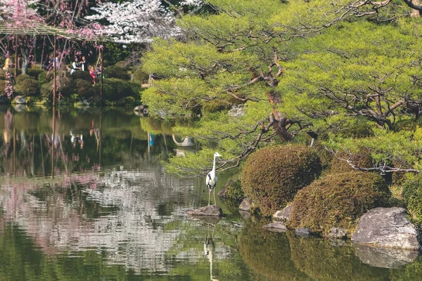 2012年4月10日春の平安神宮池 — ストック写真