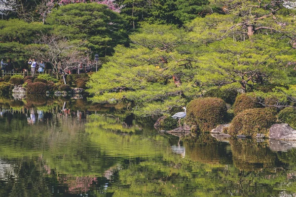 stock image 10 April 2012 the Japan, Kyoto, view to Heian Shrine, japan