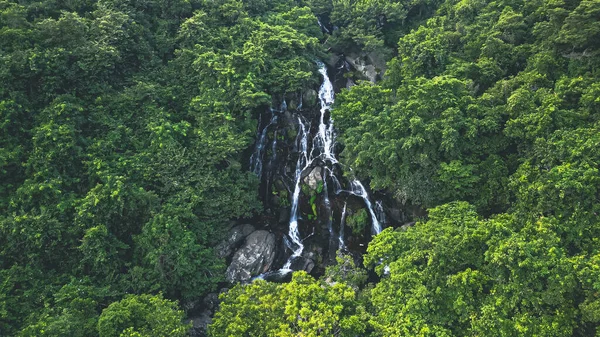 Pouco Hawaii Falls Tko Hong Kong — Fotografia de Stock