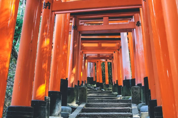 Torii Gatein Fushimi Inari Taisha Shrine Kyoto April 2012 — Stock Photo, Image