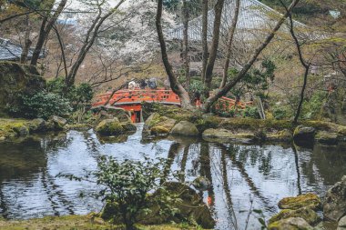 10 Nisan 2012 Daigo ji, Sampo Temple Garden, Kyoto Japonya