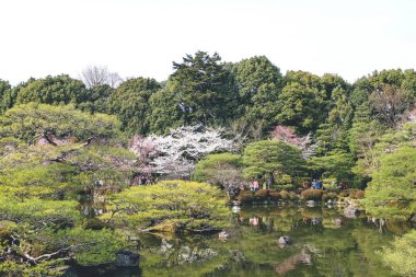 10 Nisan 2012 Kyoto, Japonya Bahar mevsiminde Heian Tapınağı göletinde.