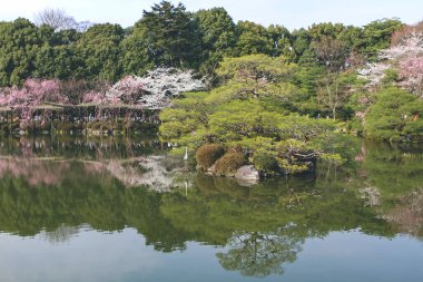 10 Nisan 2012 Japonya, Kyoto, Heian Tapınağı, Japonya