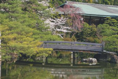 10 Nisan 2012 Japonya, Kyoto, Heian Tapınağı, Japonya