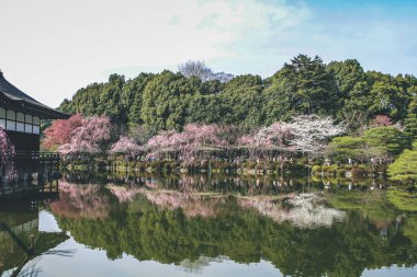 10 Nisan 2012 Kyoto, Japonya Baharı Heian Shrines gölet bahçesinde.