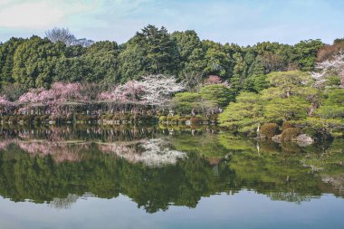 10 Nisan 2012 Kyoto, Japonya Baharı Heian Shrines gölet bahçesinde.