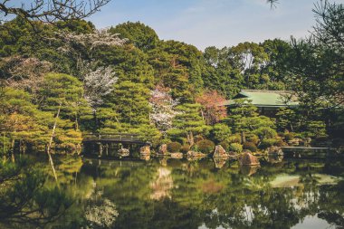 10 Nisan 2012 Kyoto, Japonya Baharı Heian Shrines gölet bahçesinde.