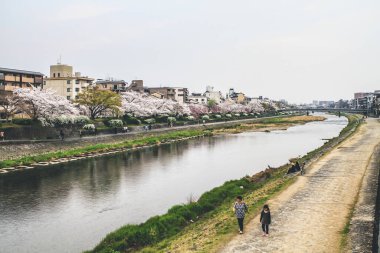 Kamo Gawa nehri boyunca güzel bir manzara 10 Nisan 2012