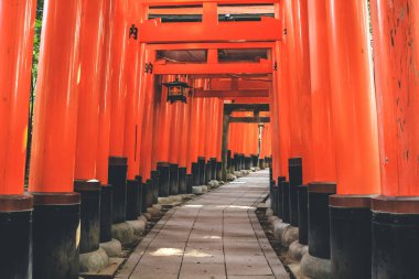 Fushimi Inari Taisha Tapınağı 'ndaki Tahta Torii 10 Nisan 2012