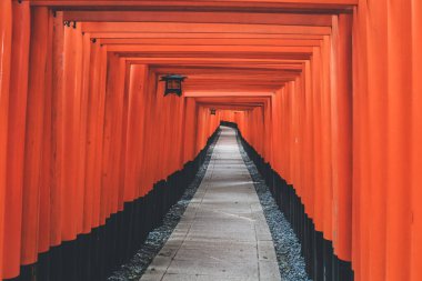 Japonya, Kyoto 'daki Fushimi Inari türbesindeki kırmızı Torii kapıları 10 Nisan 2012