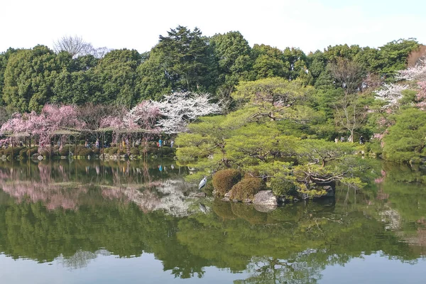 Abril 2012 Kyoto Japão Heian Santuário Lagoa Temporada Primavera — Fotografia de Stock