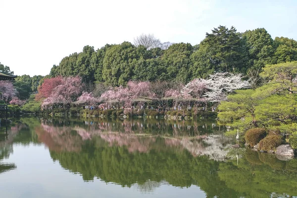2012年4月10日日本 平安神宮への眺め — ストック写真