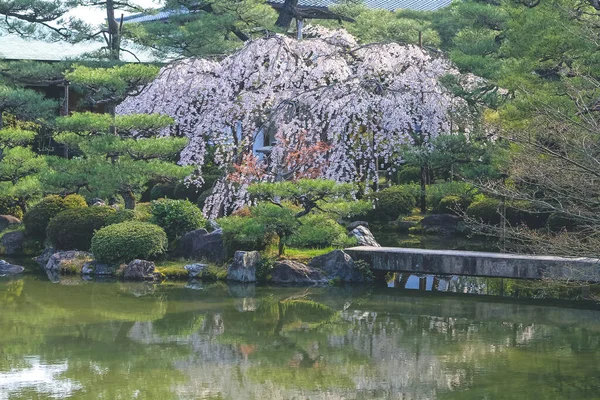 10 Nisan 2012 Japonya, Kyoto, Heian Tapınağı, Japonya