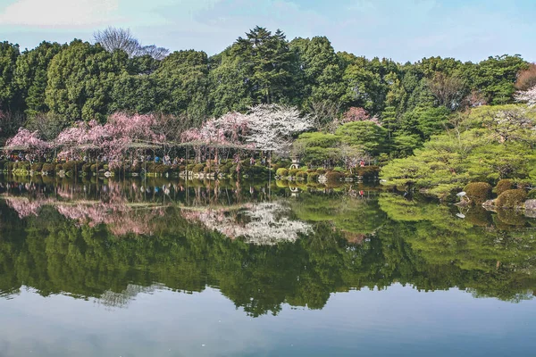 2012年4月10日平安神宮の春池庭園 — ストック写真