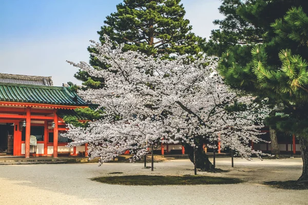 Απριλίου 2012 Otenmon Κύρια Πύλη Του Ιερού Heian Στο Κιότο — Φωτογραφία Αρχείου