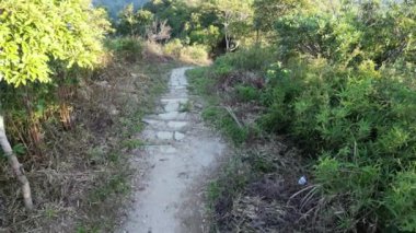 Lai Tsui Shan tepesi, hk 11 Kasım 2022