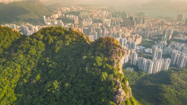 Lion Rock Dağı Peyzajı, Hong Kong 16 Kasım 2022