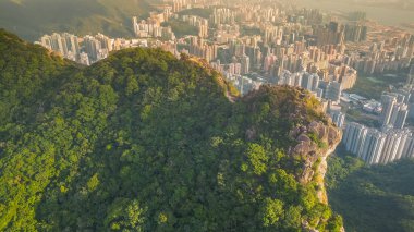 Lion Rock Dağı Peyzajı, Hong Kong 16 Kasım 2022