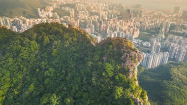 Lion Rock Dağı Peyzajı, Hong Kong 16 Kasım 2022