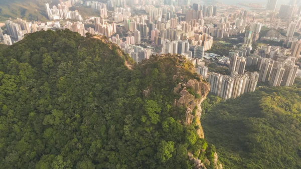 stock image The Landscape of Lion rock mountain, Hong Kong 16 Nov 2022