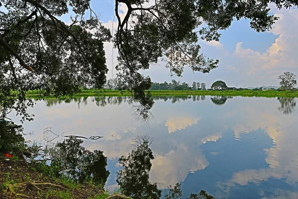 Ιουλίου 2012 Λίμνη Ψαριών Στο Shan Pui Tsuen — Φωτογραφία Αρχείου