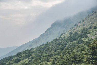 1 Ekim 2012. Hong Kong, Tai Mo Shan 'da sisli bir sabah.