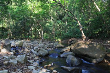 Hong Kong 'daki Shing Mun barajının manzarası.
